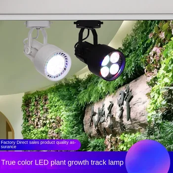 50 Вт красная, зеленая и синяя разноцветная лампа для выращивания растений LED aquarium экологический специальный аквариумный прожектор track light